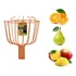 Colhedor De Frutas Grande Tramontina Em Aço S  Cabo 77819201