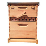 Colmeia Automatica Abelha 7