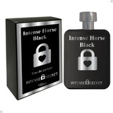 Colonia Masculina 100ml Intense