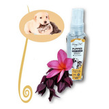 Colônia Para Pets Perfume Cheiroso Ótima Fixação 55ml