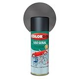 Colorgin Automotivo Spray 400