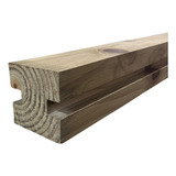 Coluna Gea De Pinus