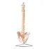 Coluna Vertebral Flexível Com Tamanho Natural Anatomic Tgd 0148 a