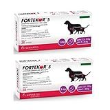 Combo Fortekor 5-28 Comprimidos