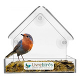 Comedouro Para Pássaros De Acrílico Com Ventosa Livre Birds