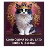 Como Cuidar Do Seu