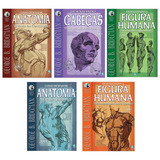 Como Desenhar Anatomia George