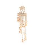 Conch Sea Shell Wind