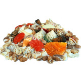 Conchas Do Mar Naturais Mix 750 Gramas Selecionadas