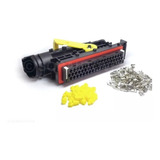 Conector 55 Pinos Pld