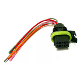 Conector Chicote Flange Bomba