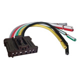 Conector Chicote P 