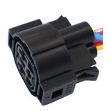 Conector Chicote Plug Do
