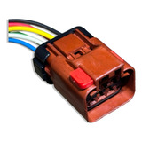 Conector Plug P