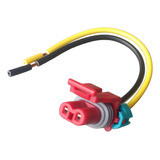 Conector Plug P Pressostato