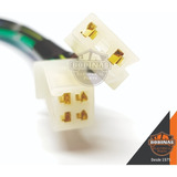 Conector Plug Terminal P