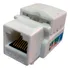 Conector Rj45 Femea Cat6 Branco Keystone Pacote C 10pçs