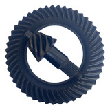 Conj Coroa Pinhao Mb