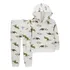 Conjunto 2pç Moletom Com Capuz Dinossauros Carter's
