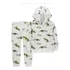Conjunto 2pç Moletom Dinossauros Menino Carter's