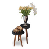 Conjunto 2un Mesa Organica