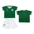 Conjunto Camiseta E Shorts Time Do Palmeiras Produto Oficial