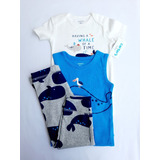 Conjunto Carters 3