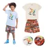 Conjunto Curto Verão Menino Camiseta E Bermuda Skate