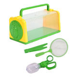 Conjunto De Apanhador De Insetos Portátil Brinquedo Verde