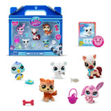 Conjunto De Colecionador Littlest