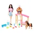 Conjunto De Cuidados Com Cavalos Barbie Doll Renee