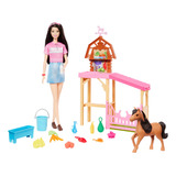 Conjunto De Cuidados Com Cavalos Barbie Doll Renee