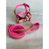 Conjunto De Guia E