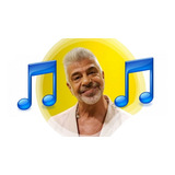 Conjunto De Lulu Santos