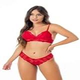 Conjunto Feminino Rendado Lingerie Sexy Sem Bojo Com Forro Revenda Luxo (vermelho, G)