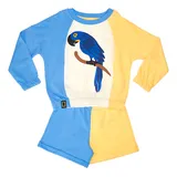 Conjunto Infantil Moletom Nat