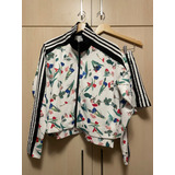 Conjunto Jaqueta E Shorts