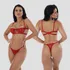 Conjunto Lingerie Sexy Gringa Luxo Renda Blogueira Meia Taça