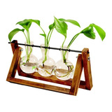 Conjunto Vaso Vidro Bulbo