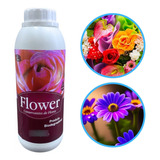 Conservante De Flores 1