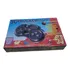Controle Sg Programpad 2 Lacrado Para O Mega Drive  M1
