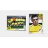 Copa Mundo 2002 Panini, Made In Brasil  ( 02 Figurinhas ) 