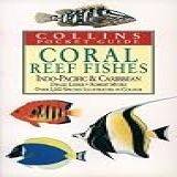 Coral Reef Fishes Of The Indo-pacific And Carribean