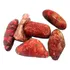 Coral Vermelho Unidade 3cm Natural Para Coleção