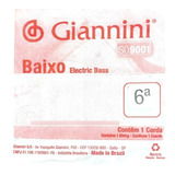 Corda Avulsa Giannini P
