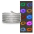 Corda Luminosa Mangueira Led Taschibra 30 Led 220v 2 Metros Cor Da Luz Colorida