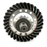Coroa E Pinhao 4630