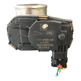 Corpo De Borboleta Tbi