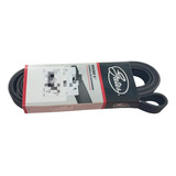 Correia 7pk1215