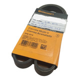 Correia Alternador 5pk0875 Subaru